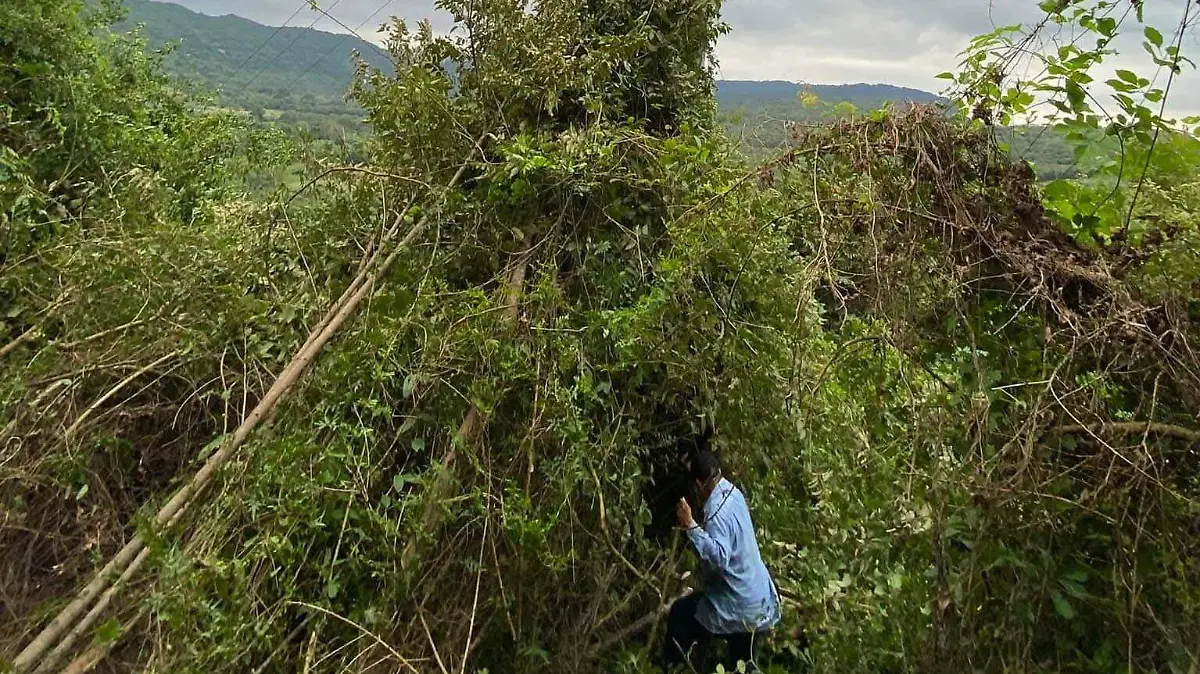 Agua potable Huautla1